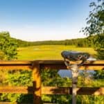 So Many Reasons to Visit York River State Park
