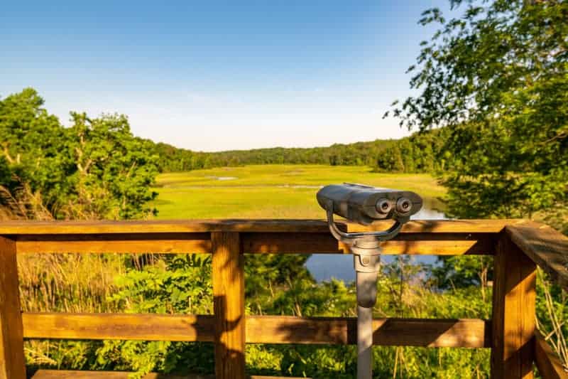 A Day in the Life of York River State Park: Woodstock Pond Trail - State  Parks Blogs