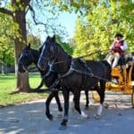 Cool Things to Do in Williamsburg VA