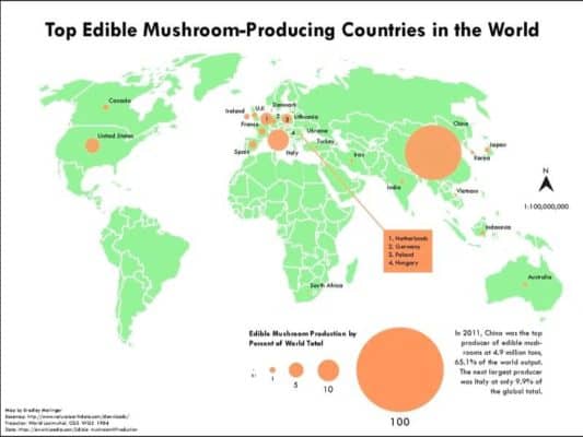 edible mushroom producing countries