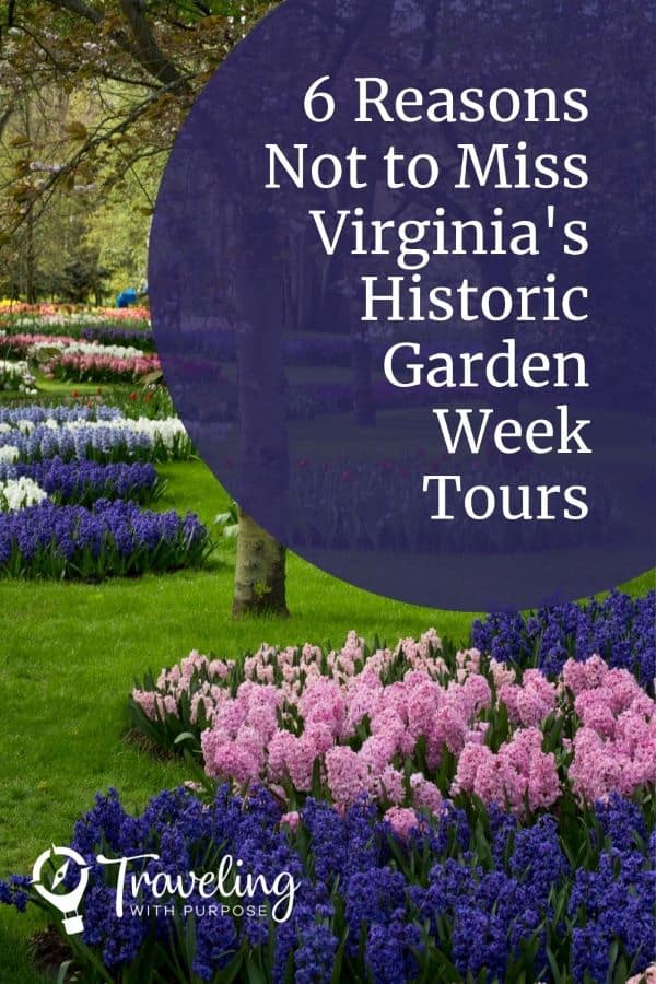 Pink and purple flowers in the garden - Virginia Tours