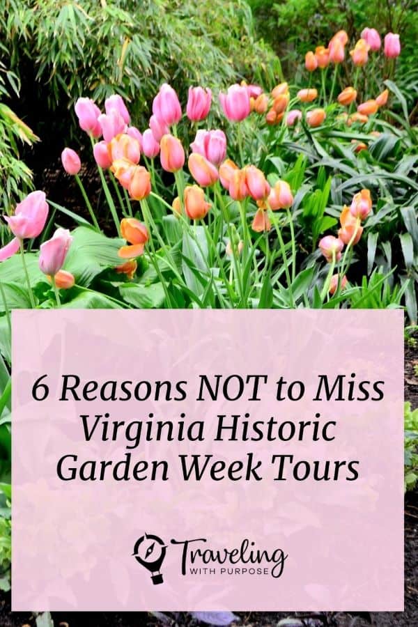 Virginia Tours - Historic Garden Week Pink tulips