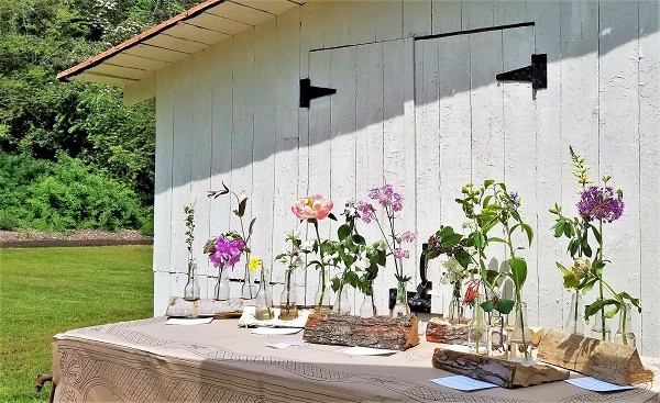 Fredericksburg Historic Garden Tour - horticulture display