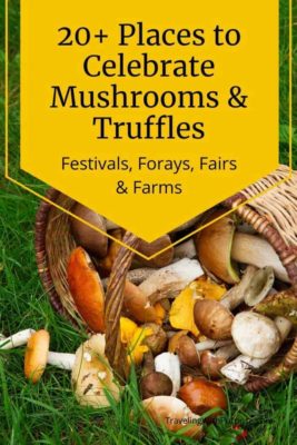 20 place to celebrate edible mushrooms