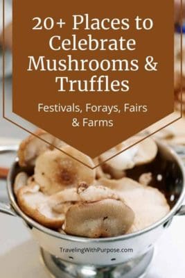 20+ Places to Celebrate Edible edible Mushrooms and Truffles