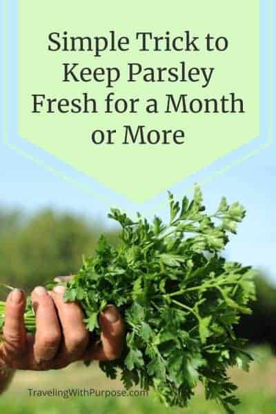 how to store parsley for a month or more