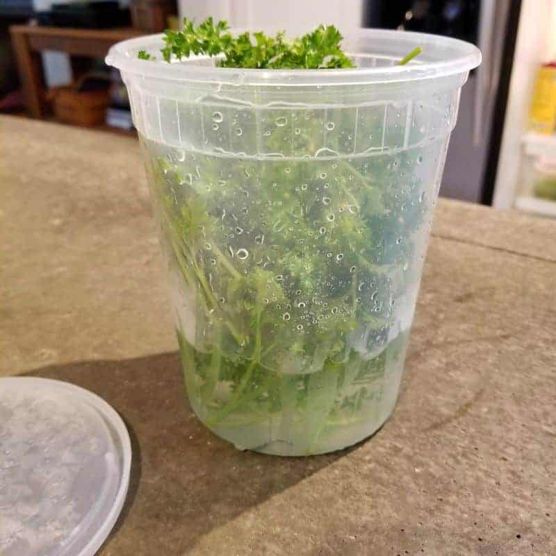 how to store fresh parsley