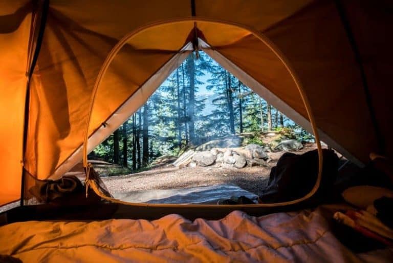 View looking out through a tent door toward the forest - giving back wilderness volunteers