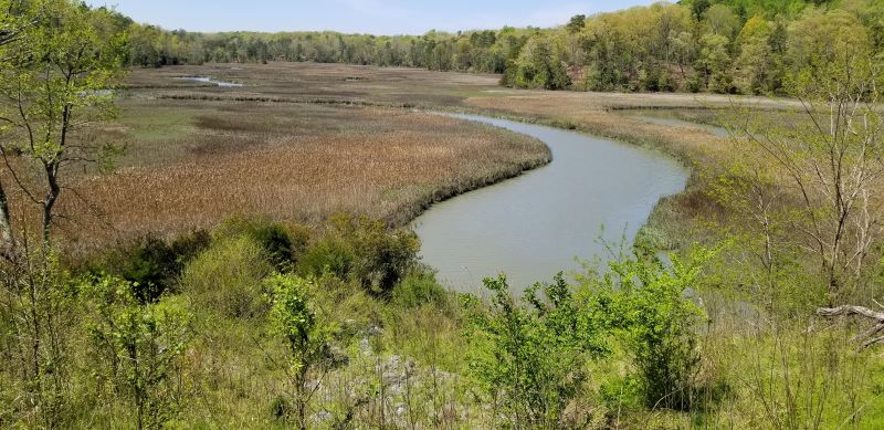 A Day in the Life of York River State Park: Woodstock Pond Trail - State  Parks Blogs