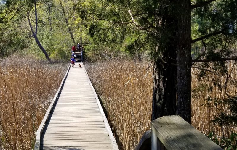 board walk over marsh at York River State Park