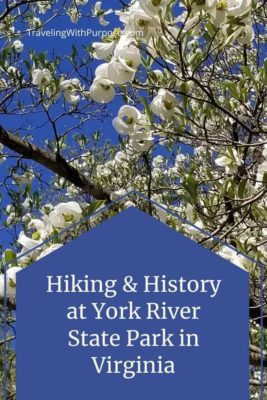 Image of a flowering tree branch against a deep blue sky. Text says "Hiking and History at York River State Park"