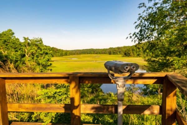 Taskinas Creek Overlook - York River State Park, Virginia