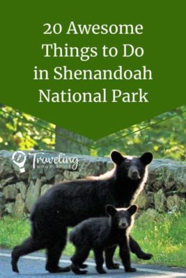 20 Things to do in Shenandoah NP