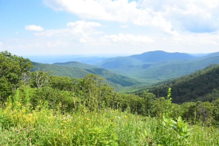 20 Cool Things to Do in Shenandoah National Park - Virginia • Traveling ...