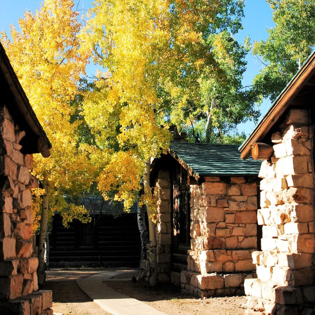 Cabins at the North Rim of the Grand Canyon surrounded by vibrant fall foliage. A clear path leads between two rustic stone cabins with dark wooden doors and green roofs, drawing the eye towards a third cabin in the background. The golden yellow leaves of tall deciduous trees contrast with the deep blue sky, highlighting the seasonal beauty found in national parks during autumn.