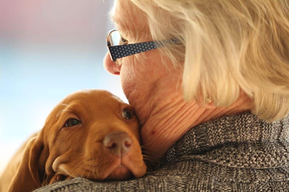 Elderly woman holding puppy