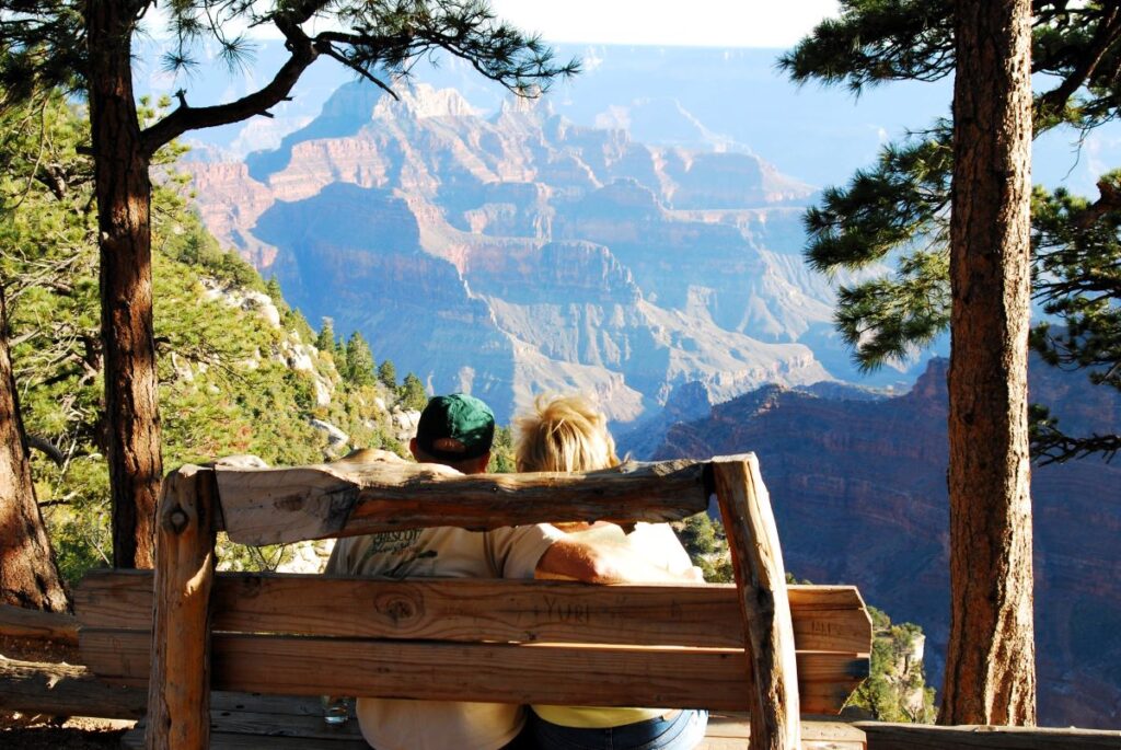 The view from behind of a man in a green baseball cap and woman with blonde hair sitting on a rustic log bench looking out over the Grand Canyon with colors of blues and oranges. There are evergreen trees on either side of the bench. North Rim Arizona 