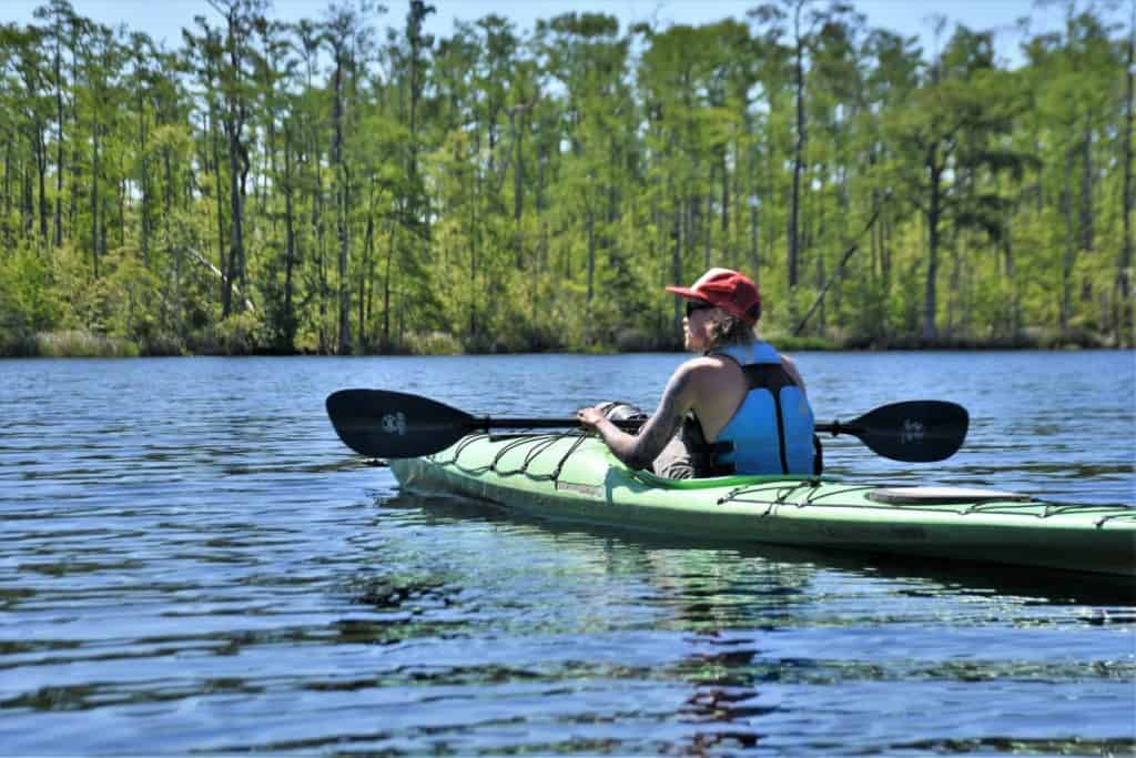 Tour Guide in Kayak at Alligator River National Wildlife Refuge