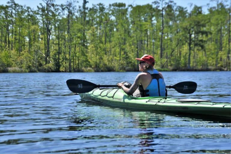 Tour Guide in Kayak at Alligator River National Wildlife Refuge