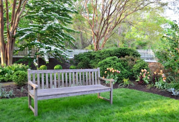 Flowering Dogwood Tree and tulips surround a weathered wooden bench at Eyre Hall garden