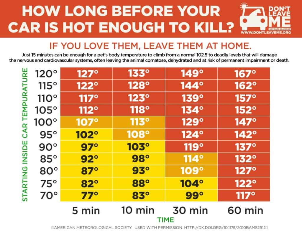 Table showing what temperature is hot enough to kill an animal or human in a car