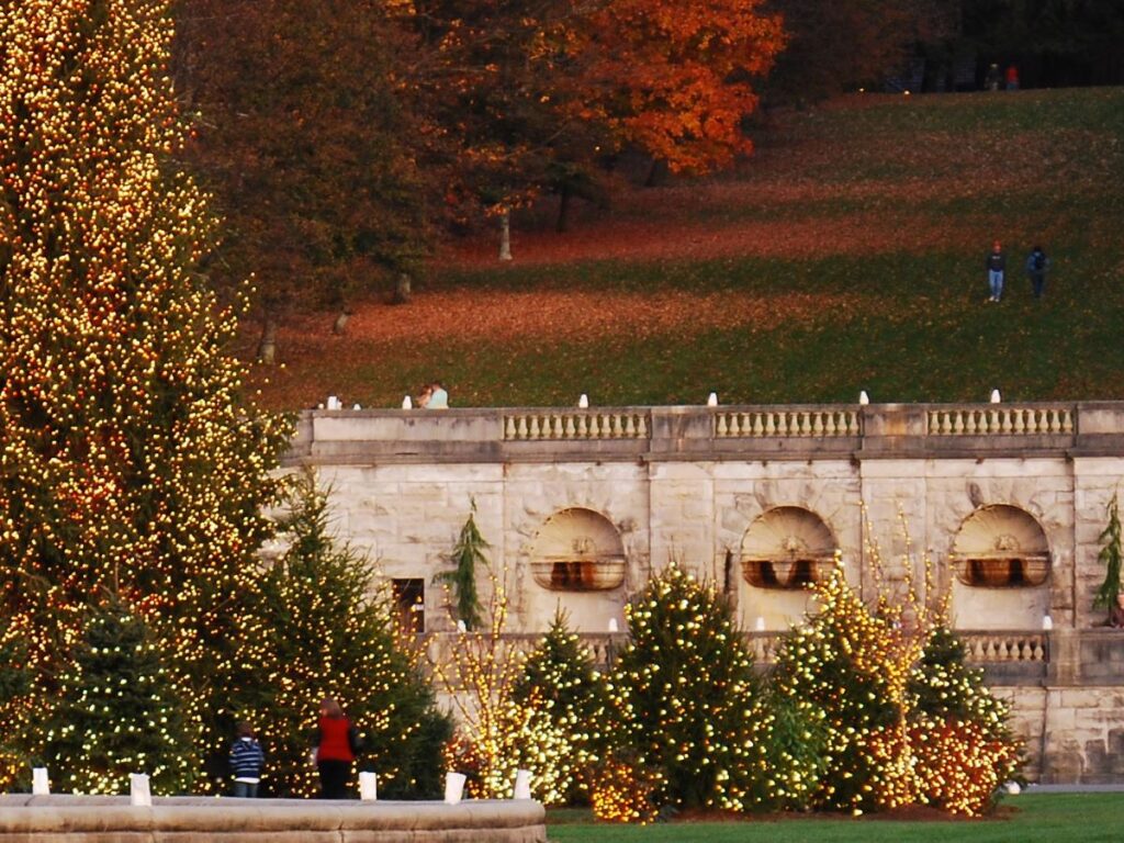 Massive lighted Christmas tree on the front lawn of the Biltmore Estate near Asheville, NC. A stone wall stands behind it and the hillside in the background is covered in red and orange fall leaves. 