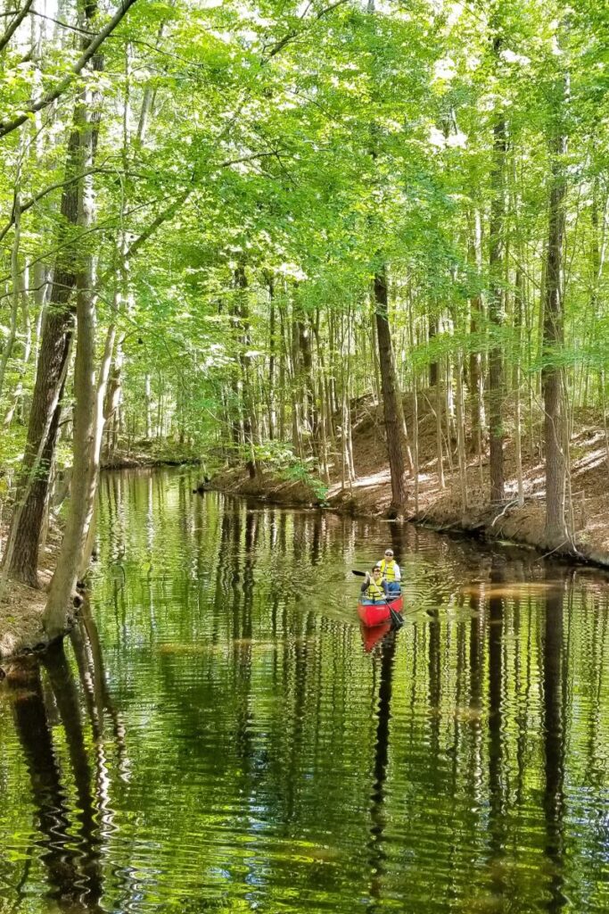 Two people in yellow life jackets sit in a red canoe. They're paddling through the water of the Northwest River in Chesapeake Virginia. The brilliant green colors of the tree's along the banks of the river are reflected in the water. Perfect place for Southeast States travel