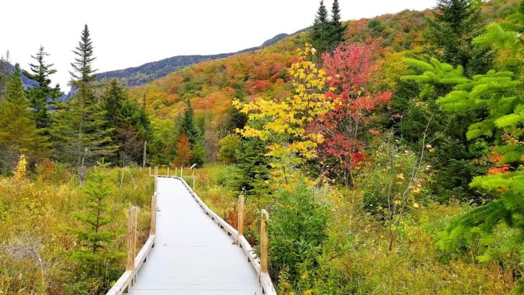The Long Trail in Stowe Vermont in Fall