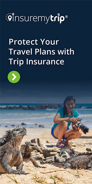 Woman holding a large camera crouching down on the beach to take a picture of large iguanas. The ocean is in the background.