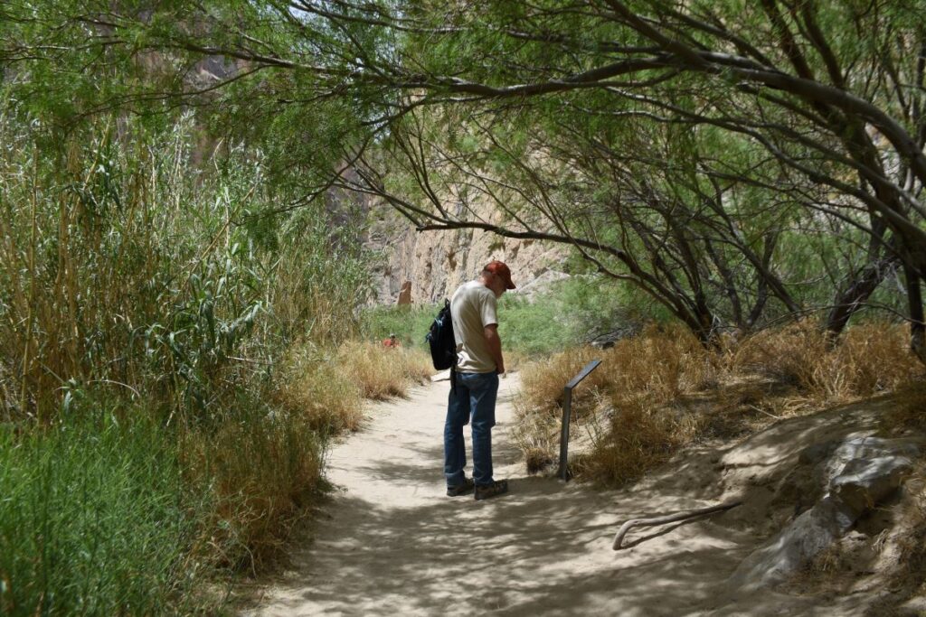 A hiker wearing a cap and backpack reads an informational sign along the Santa Elena Canyon Trail in Big Bend National Park, Texas, enjoying the natural beauty of USA travel destinations.