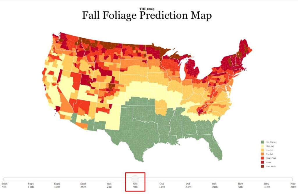 Map of the Continental United States showing the prediction of when fall foliage will be happening in each area based on the date range in the fall. Colors on the map are green, yellow, gold, orange, red, wine, and burgundy. State lines are shown and faint county lines. 