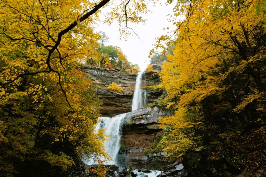 Brilliant golden fall leaves on trees surround a 2-tier waterfall. Kaaterskill falls near Hudson Valley vacation rentals, New York