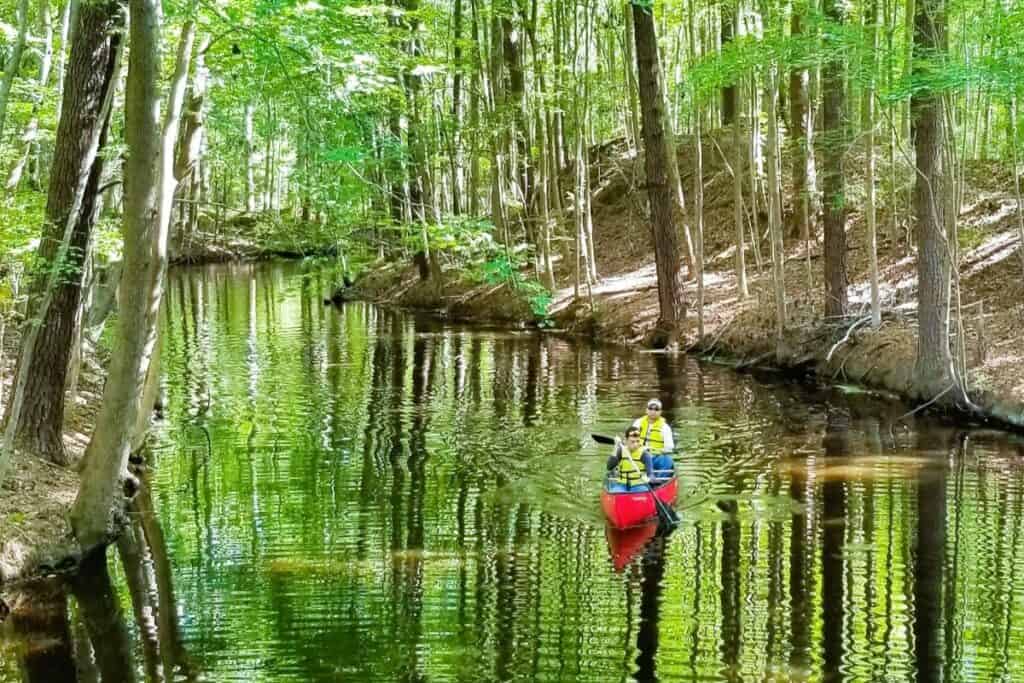 A vibrant image of two individuals wearing life jackets paddling a red canoe on a calm, reflective waterway surrounded by dense green forest. The trees are tall with lush foliage, and the water mirrors the verdant environment, creating a serene and picturesque setting for outdoor activities.