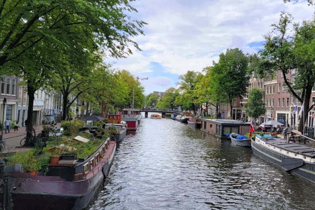 Houseboats and canal boats float on a Jordaan neighborhood canal in Amsterdam. The canal is lined with trees and historic buildings. 